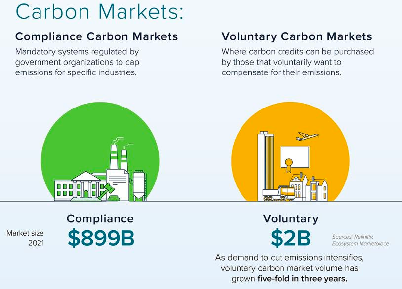 Financial Instruments for Fighting Climate Change: A Guide